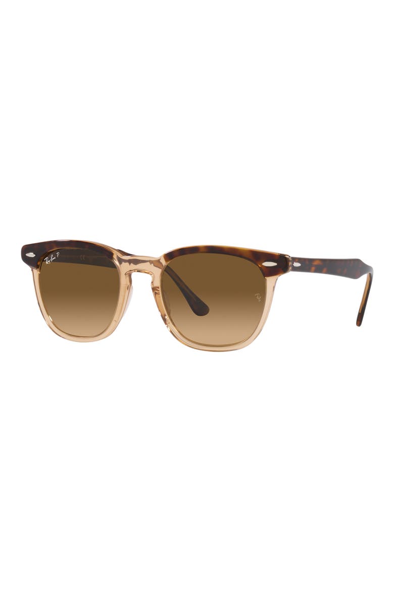 Eagle Eye 53mm Gradient Polarized Pillow Sunglasses, Alternate, color, HAVANA
