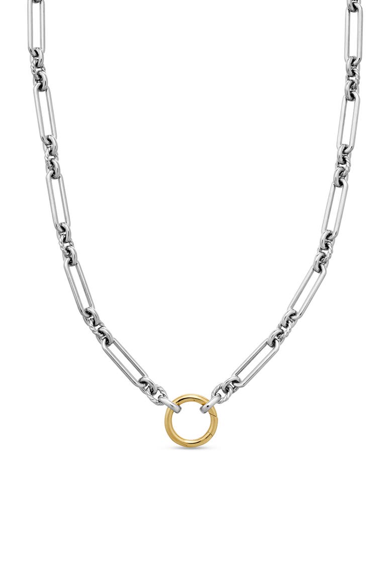 Lexington Chain Necklace, Main, color, SILVER