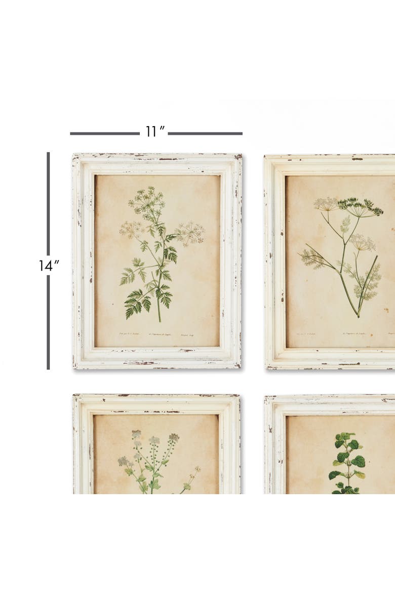 Framed Wild Flower Botanical Prints Set of 12, Alternate, color, Beige