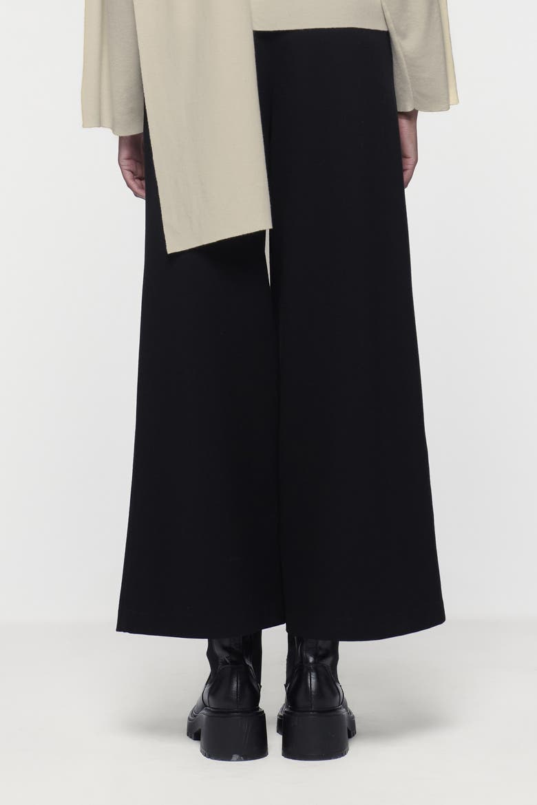 Wide-Leg Pants, Alternate, color, Black