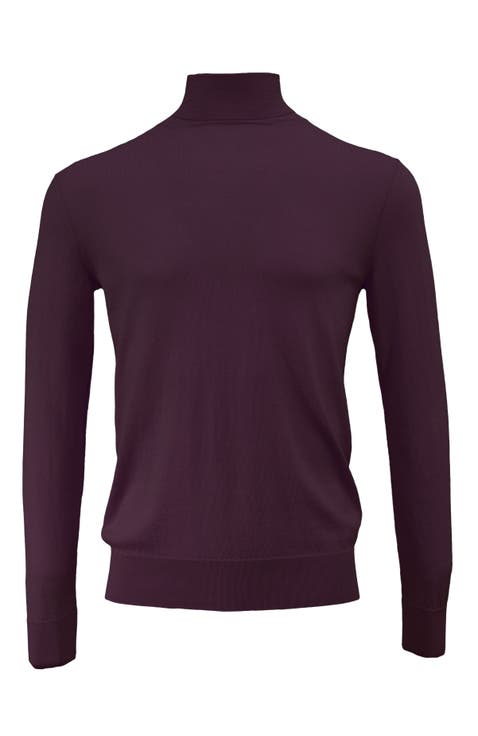 Ronan Merino Wool Turtleneck Sweater