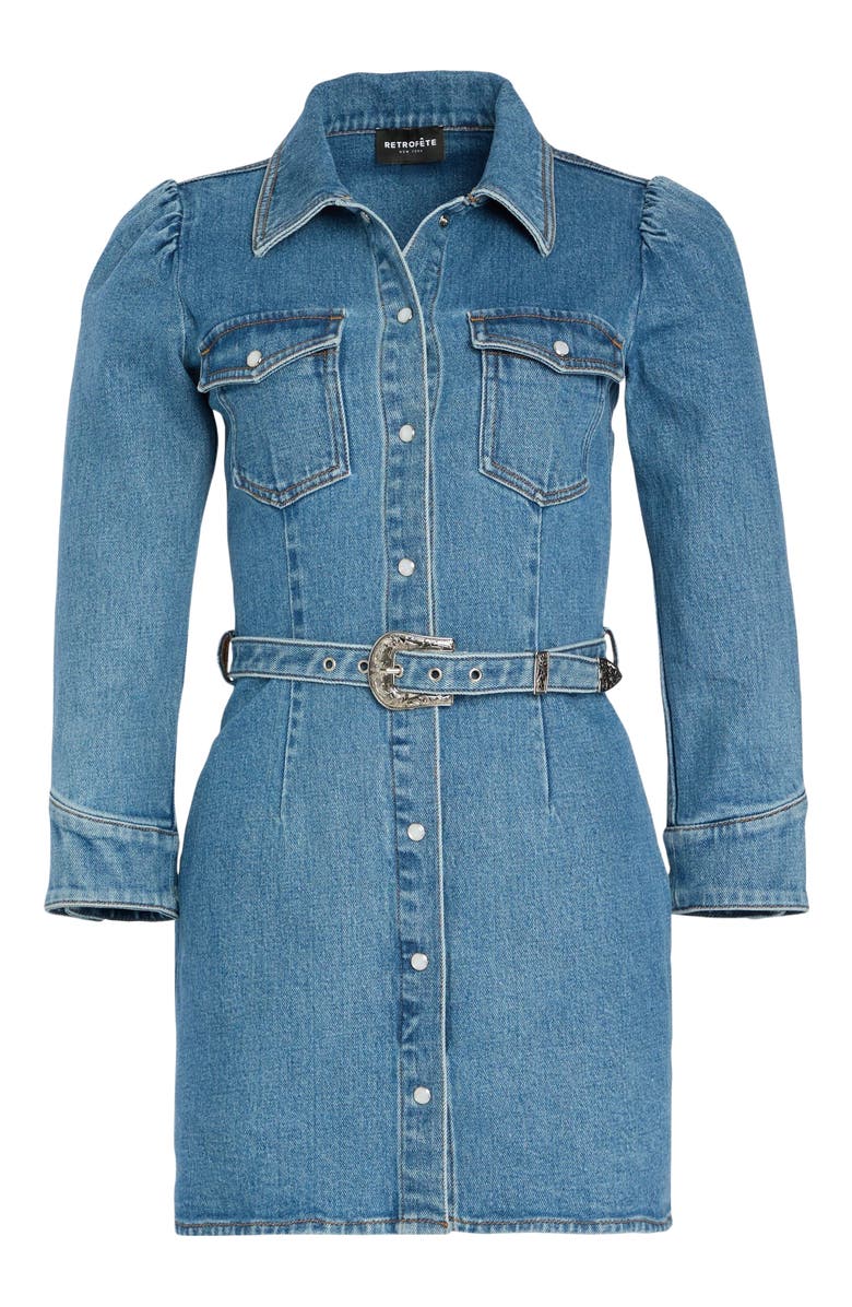 Retrofête Wiley Dress, Alternate, color, 