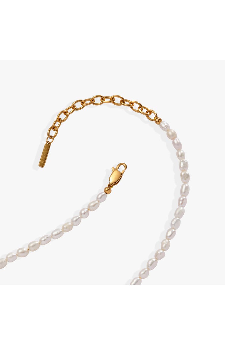 Alex and Ani Freshwater Pearl Necklace, Alternate, color, Pearl