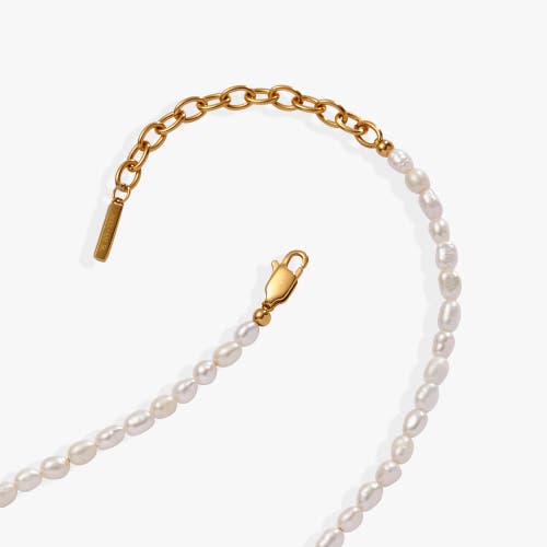 Alex And Ani Freshwater Pearl Necklace In Pearl