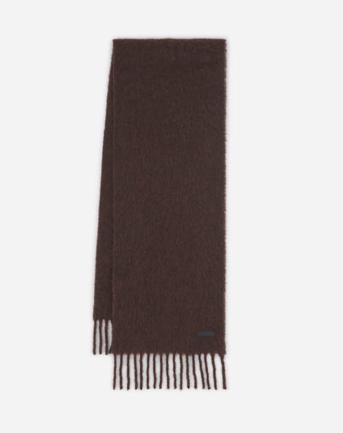 Lanvin Fringed Scarf In Wool In Dark Brown