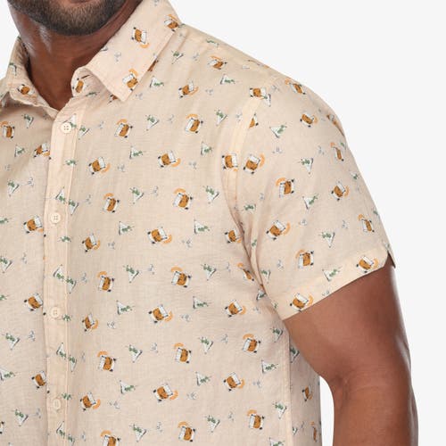 Vustra On The Rocks Button-down Shirt In Neutral