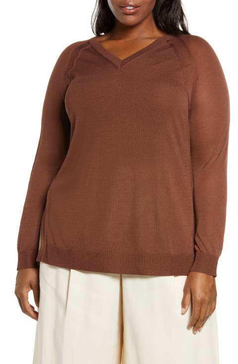 Sheer Sleeve V-Neck Sweater (Plus Size)