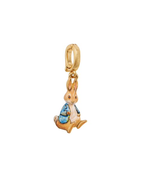 x Peter Rabbit Charm