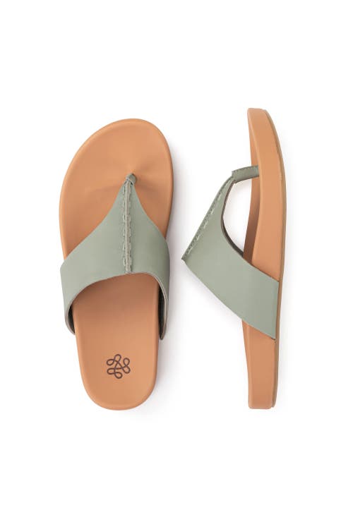 The Sak Everly Sandal In Meadow