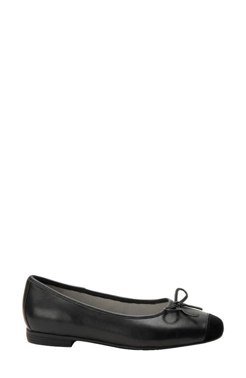 Alegria By Pg Lite Talya Cap Toe Ballet Flat In Black