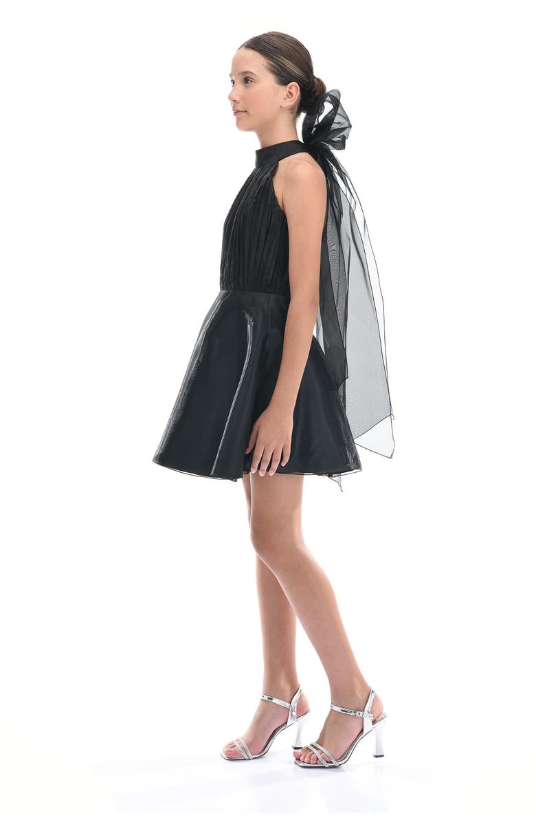 Tulleen Tivoli Dress, Alternate, color, Black