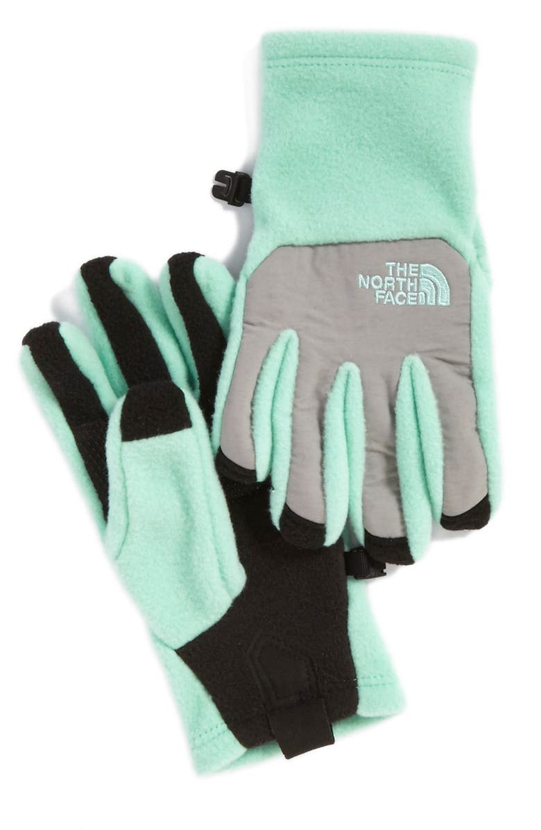 The North Face 'Denali E-Tip' Fleece Gloves, Main, color,