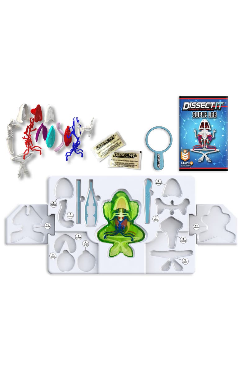 Dissect-It Deluxe Super Frog Lab, Kids, Alternate, color, Multicolored