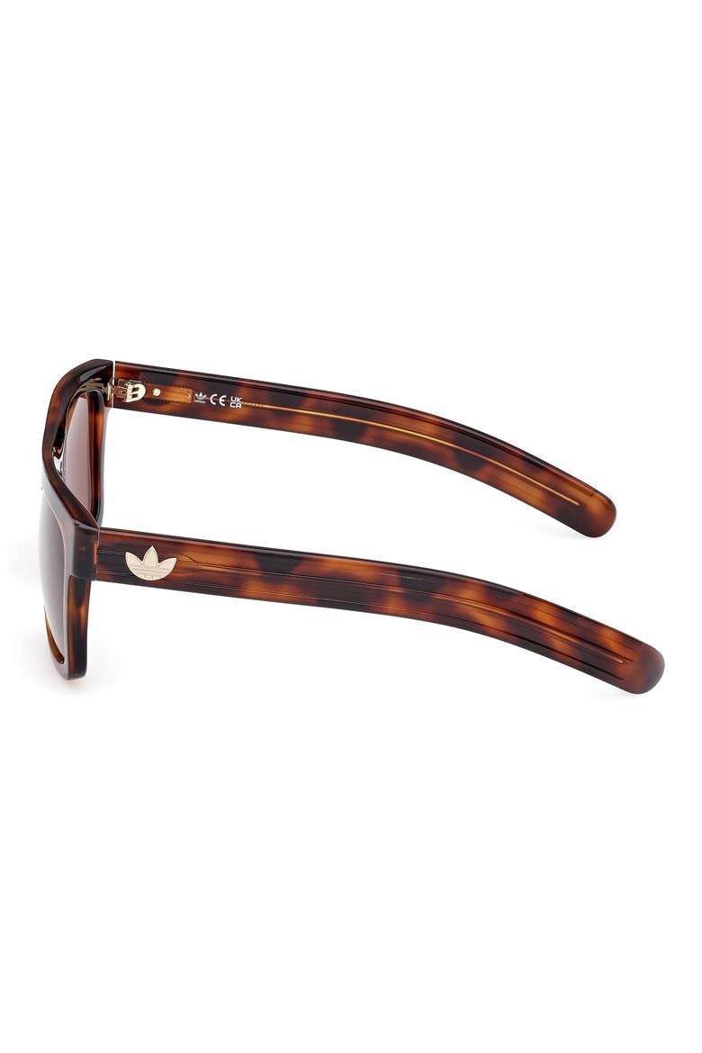 56mm Navigator Sunglasses, Alternate, color, DARK HAVANA/ BROWN