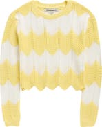Cotton Emporium Chevron Stripe Pointelle Sweater