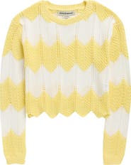 Cotton Emporium Chevron Stripe Pointelle Sweater