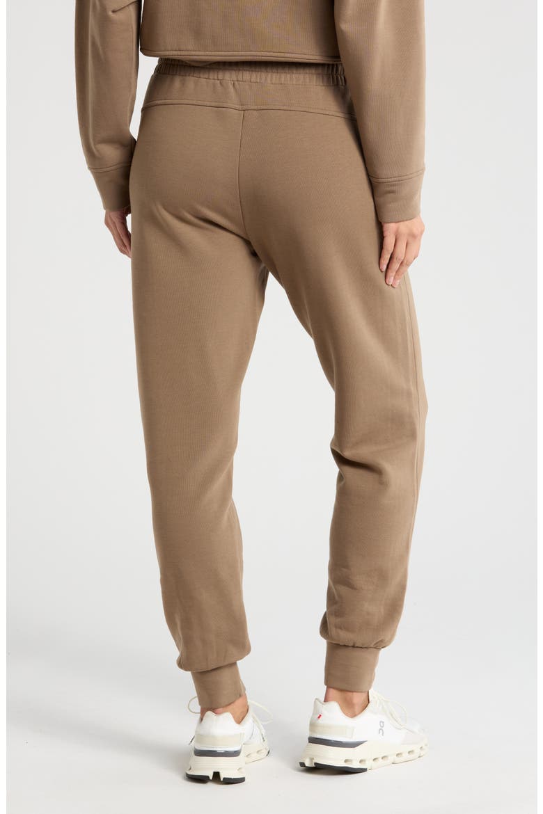 Cozy Knit Joggers, Alternate, color, BROWN SHIITAKE