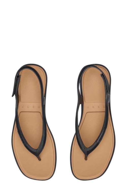 Reef Water Willow Maya Slingback Sandal