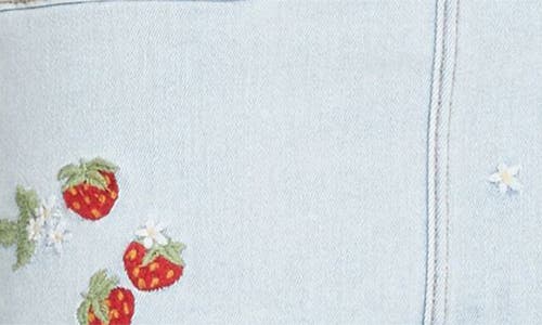 Driftwood Strawberry Fields Denim Miniskirt In Blue