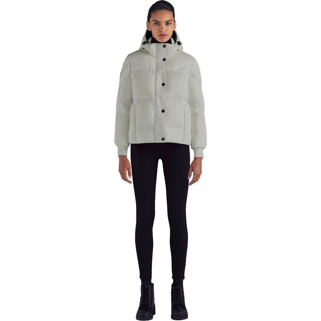 Triple F.a.t. Goose Puffer Down Jacket In Gray