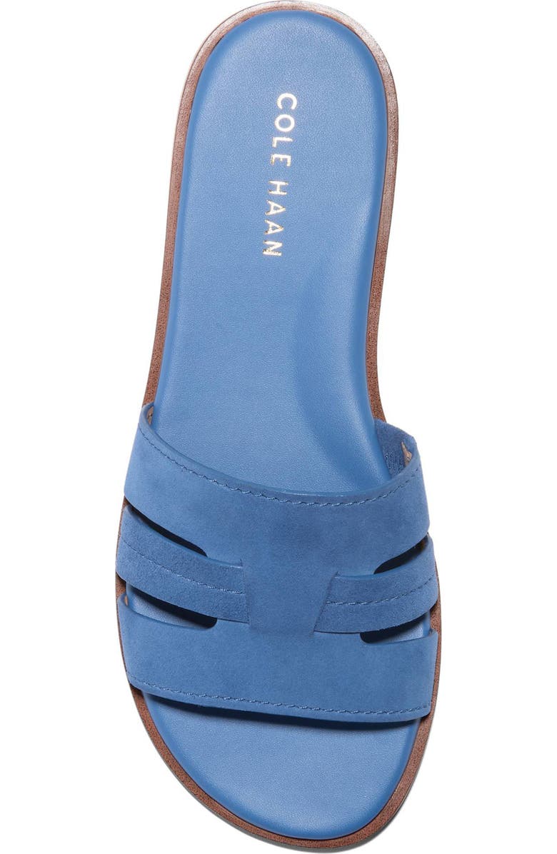 Cole Haan Flynn Slide Sandal, Alternate, color, Dutch Blue Suede