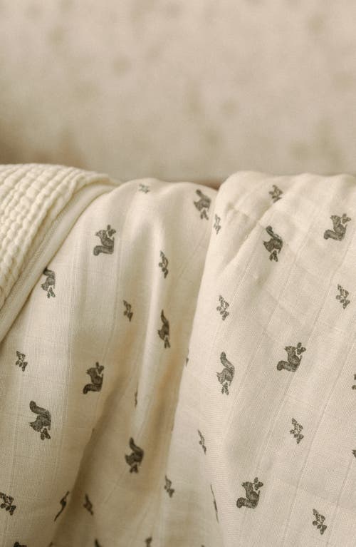 Oilo Organic Cotton Muslin Quilt & Sham Set In Squirrels