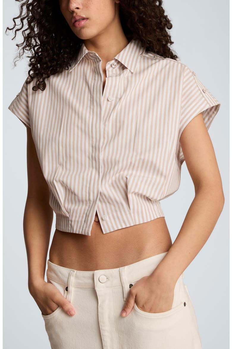 Stripe Crop Button-Up Shirt, Main, color, TLESSTAUP/ WHT