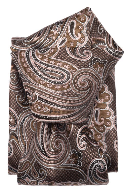 Elizabetta Pavia In Multi