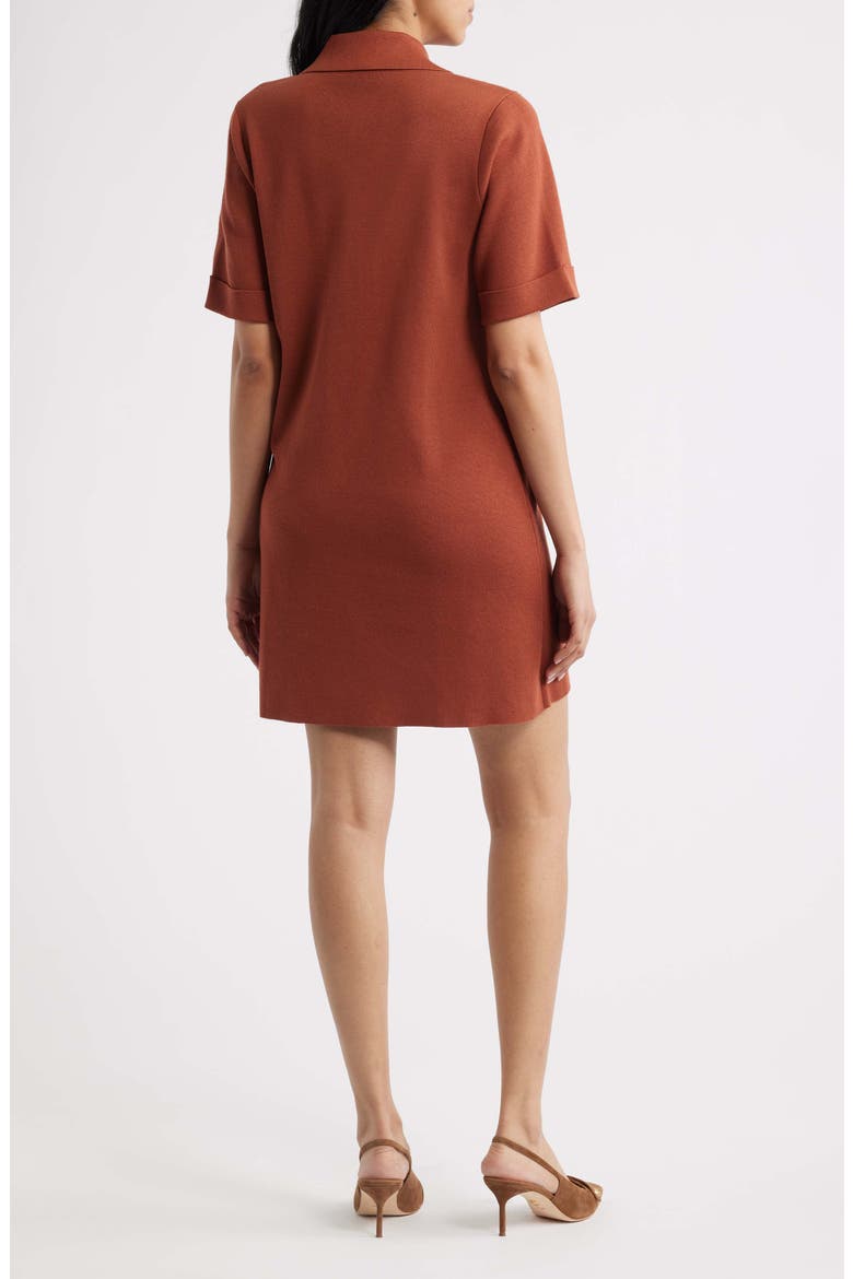 Polo Sweater Dress, Alternate, color, RUST