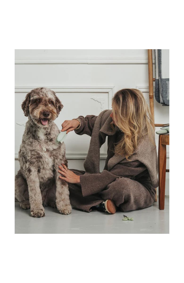 Dexypaws Pet Dry & Wet Grooming Brush, Sage Green, Dog & Cat Grooming Tool, Alternate, color, Green