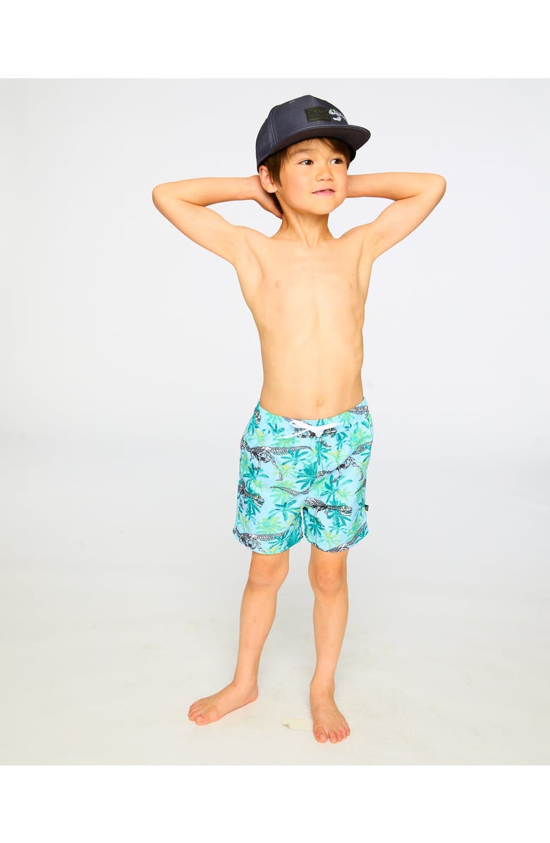 Deux par Deux Mid Thigh Skeleton Boardshorts, Alternate, color, Blue Skeleton Print