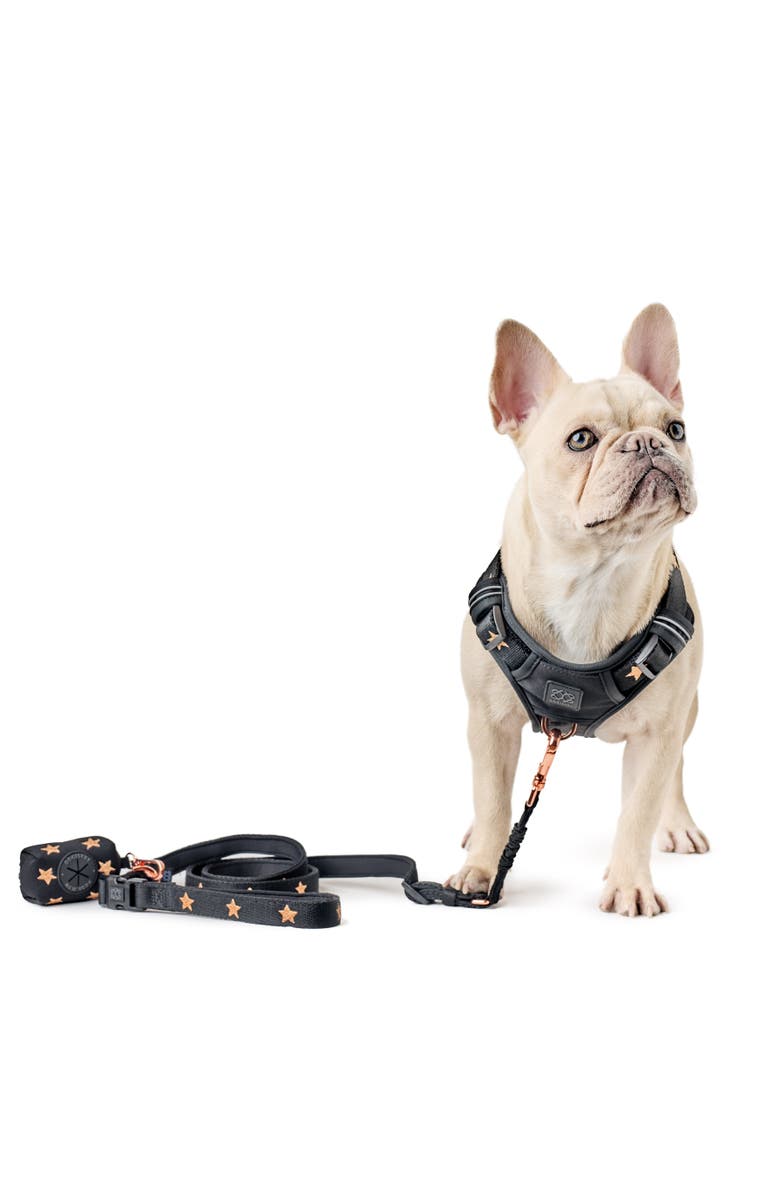 Dogistry Waste Bag Holder, Alternate, color, Rockstar