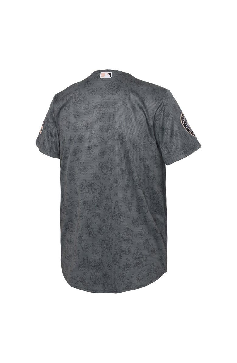 Nike Youth Nike Gray Washington Nationals City Connect Replica Jersey, Alternate, color, 