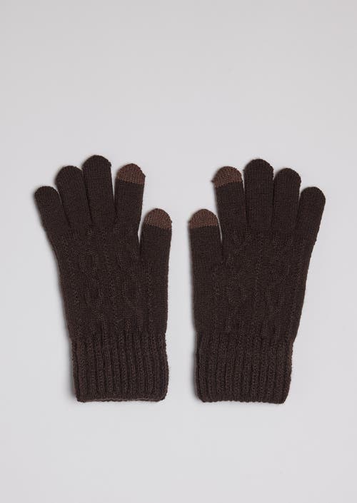 Hat Attack Frosty Touch Glove In Brown