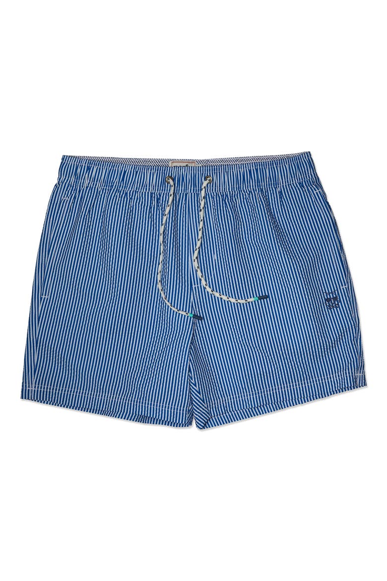 Stripe Party Starter Lined 5-Inch Swim Trunks, Main, color, BLUE
