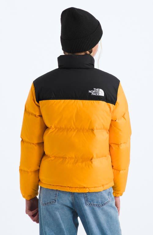 The North Face Big Kids 1996 Retro Nuptse Jacket In Multi