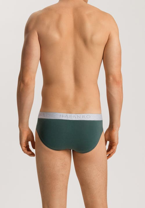 Hanro Cotton Essentials 2-pack Cotton Briefs In Multi