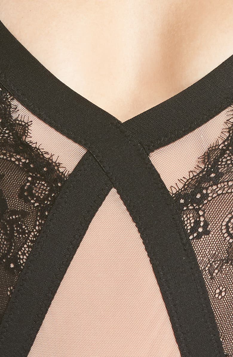 Hauty Heika Teddy, Alternate, color, 