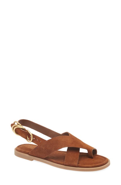 Rag & Bone Women's Gia Toe Loop Sandals In Umber Suede