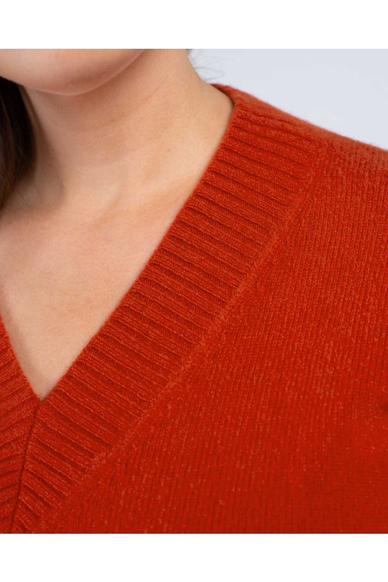 Anya V-Neck Sweater, Alternate, color, Chilli