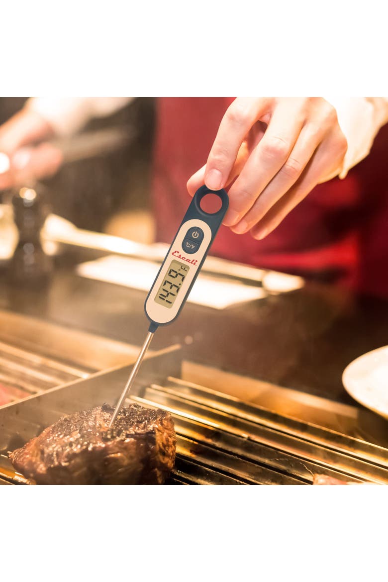 Digital Long Stem Thermometer, Alternate, color, Blue