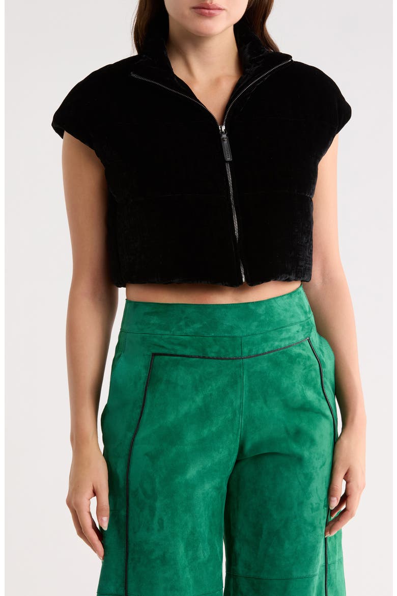 Crop Velvet Blouson Jacket, Main, color, BLACK