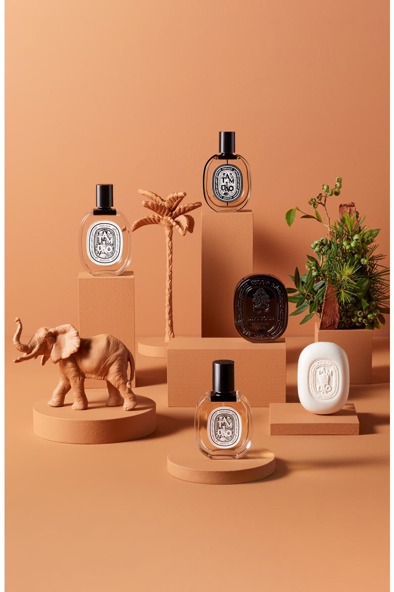 Tam Dao Eau de Toilette, Alternate, color, NO COLOR