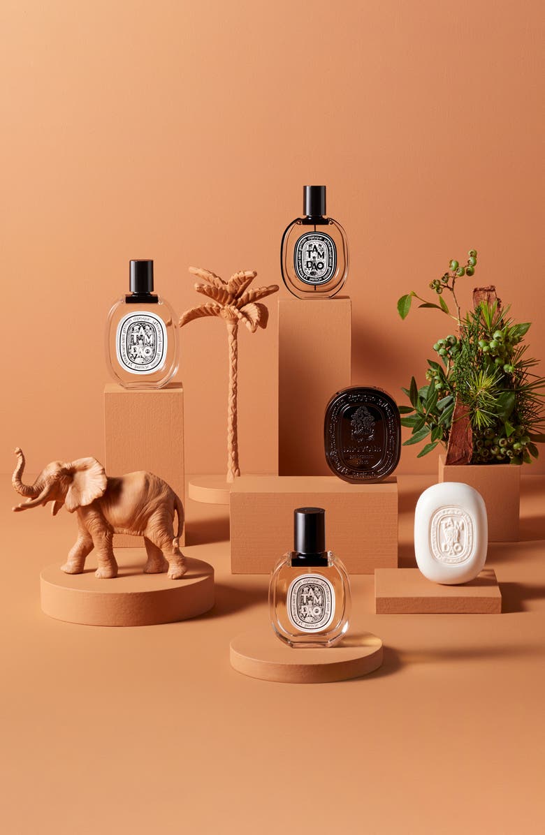 Diptyque Tam Dao Eau de Toilette, Alternate, color, 