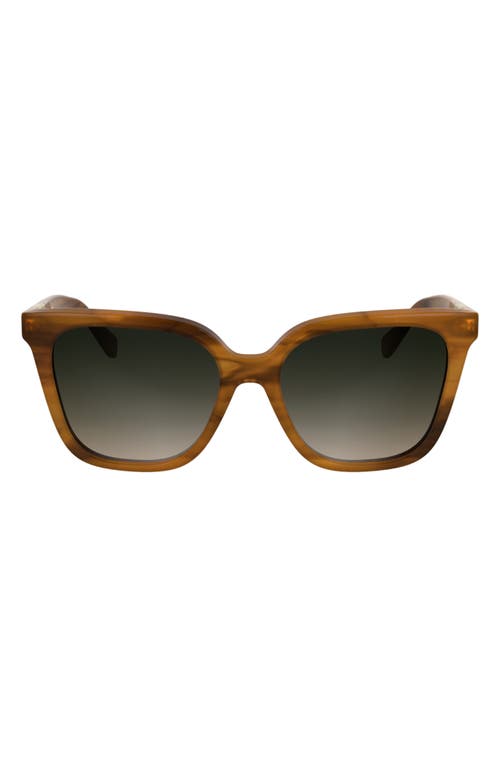 Longchamp Le Pliage 55mm Gradient Butterfly Sunglasses In Striped Brown