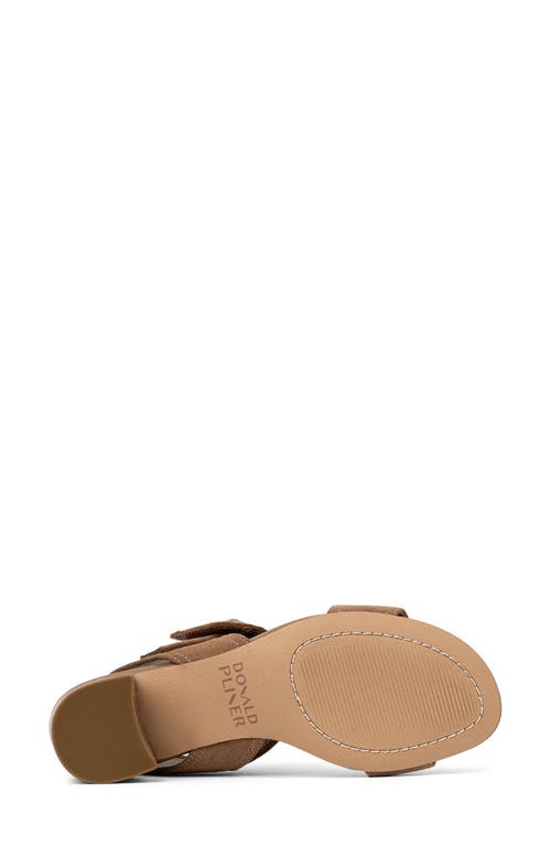Shop Donald Pliner Ankle Strap Sandal In Tobacco