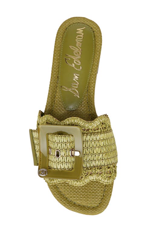 Shop Sam Edelman Bambi Raffia Buckle Slide Sandal In Greentini