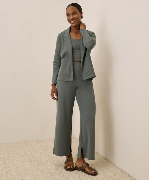 PACT PACT ORGANIC COTTON AIRPLANE RELAXED BLAZER