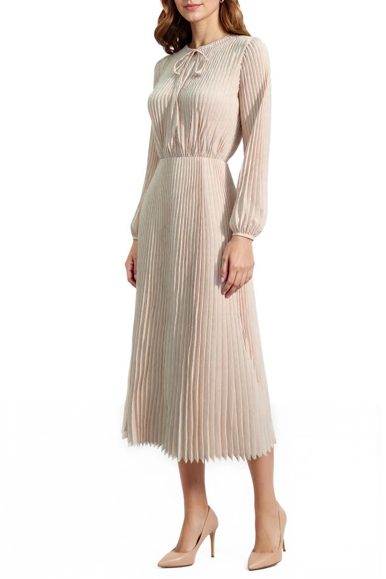 Long Sleeve Pleated Maxi Dress, Alternate, color, BEIGE