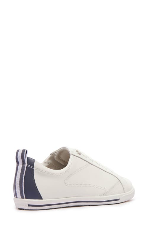 Frankie4 Asher Sneaker